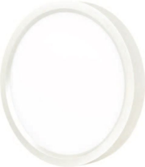 Picture of 12'' Round LED Flush Mount, 22 watts, 1450 lms, 3000K, Dimmable, IC & Wet Location Rated